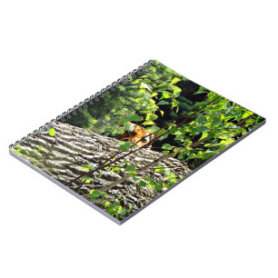 Cuaderno del Tigre Peek-a-boo