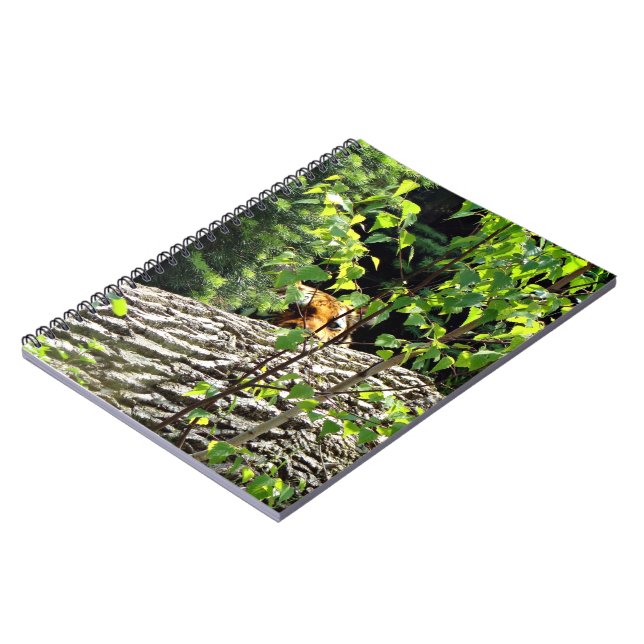 Cuaderno del Tigre Peek-a-boo (Lado Izquierdo)