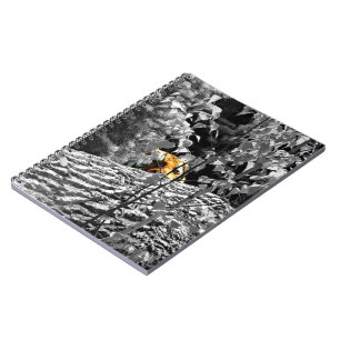 Cuaderno del Tigre Peek-a-boo
