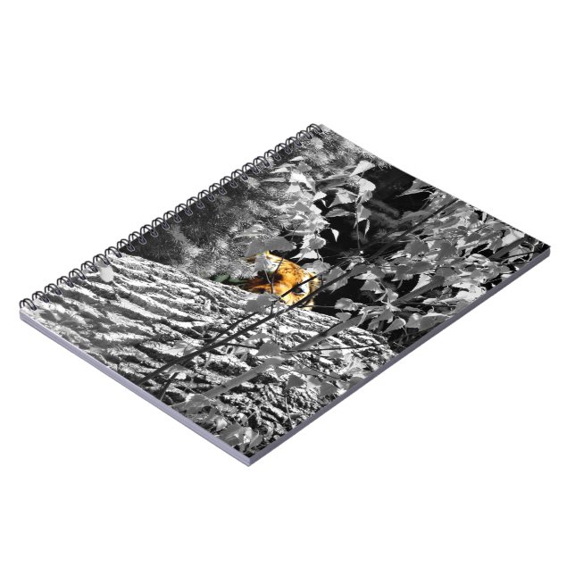 Cuaderno del Tigre Peek-a-boo (Lado Izquierdo)