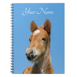 Cuaderno Delantero Cute Islandés Horse Foal Pony - Nombre -