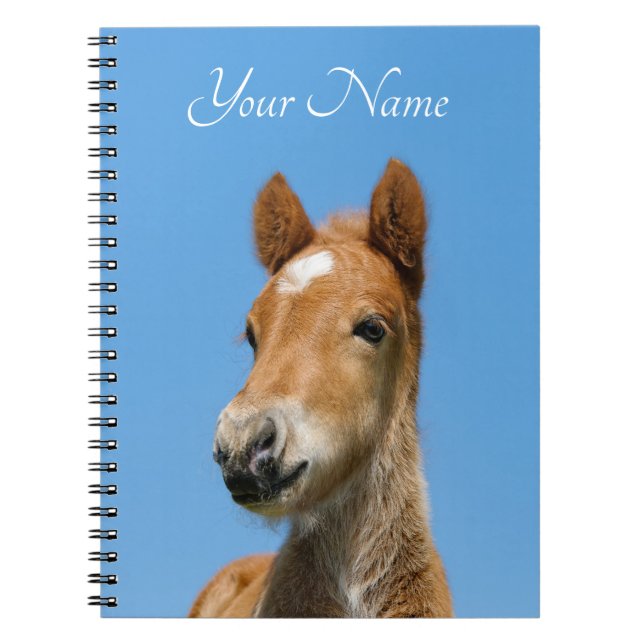 Cuaderno Delantero Cute Islandés Horse Foal Pony - Nombre - (Frente)