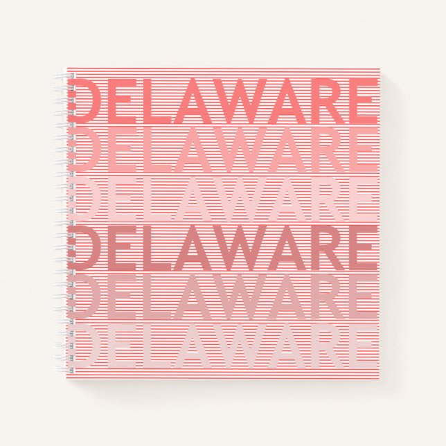 Cuaderno Delaware (Anverso)