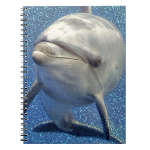 Cuaderno Delfín azul de la chispa con el monograma de los