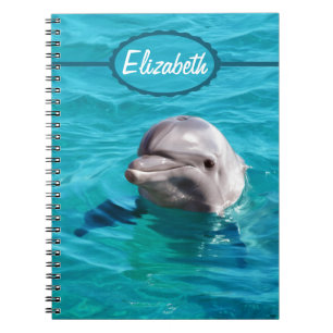 Cuaderno Delfín en foto del agua azul