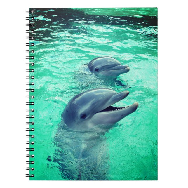 Cuaderno Delfines (Frente)