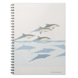 Cuaderno Delfínes comunes