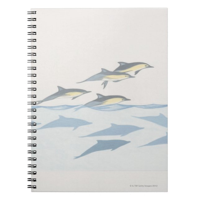 Cuaderno Delfines comunes (Frente)