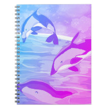Delfines de Dusk