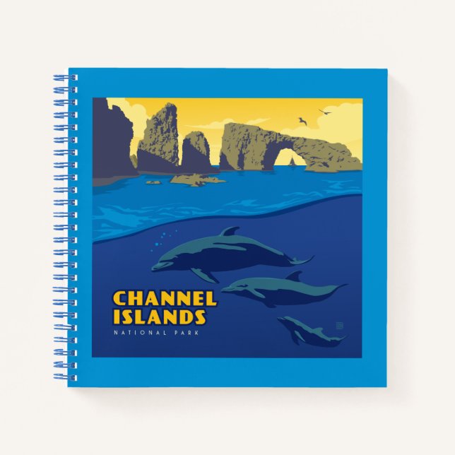 Cuaderno Delfines del Parque Nacional de las Islas del Cana (Anverso)