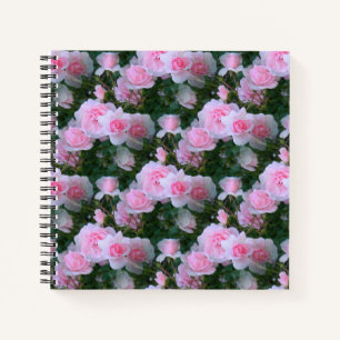 Cuaderno Delicada Belleza......