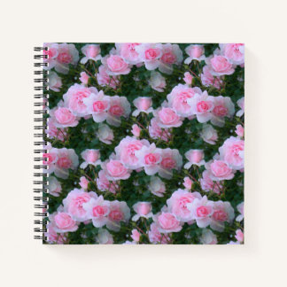 Cuaderno Delicada Belleza......