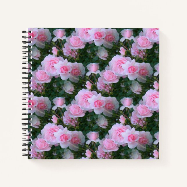 Cuaderno Delicada Belleza...... (Anverso)