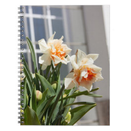 Cuaderno Delicada primavera de daffodils tiernos