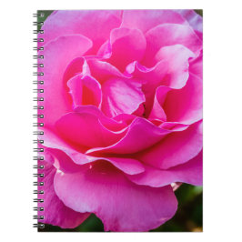 Cuaderno Delicada rosa.