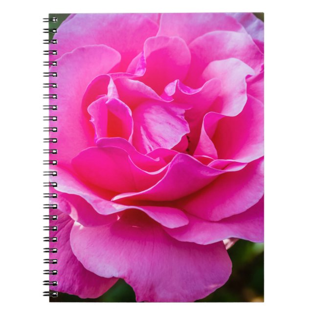 Cuaderno Delicada rosa. (Frente)