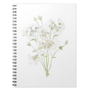 Cuaderno delicada tinta y acuarela de flores blancas