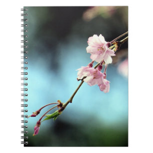 Cuaderno Delicado azul y floral rosa - portátil
