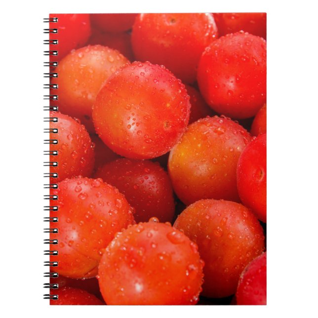 Cuaderno Delicioso fontanería de cerezo rojo, tazón, cereza (Frente)