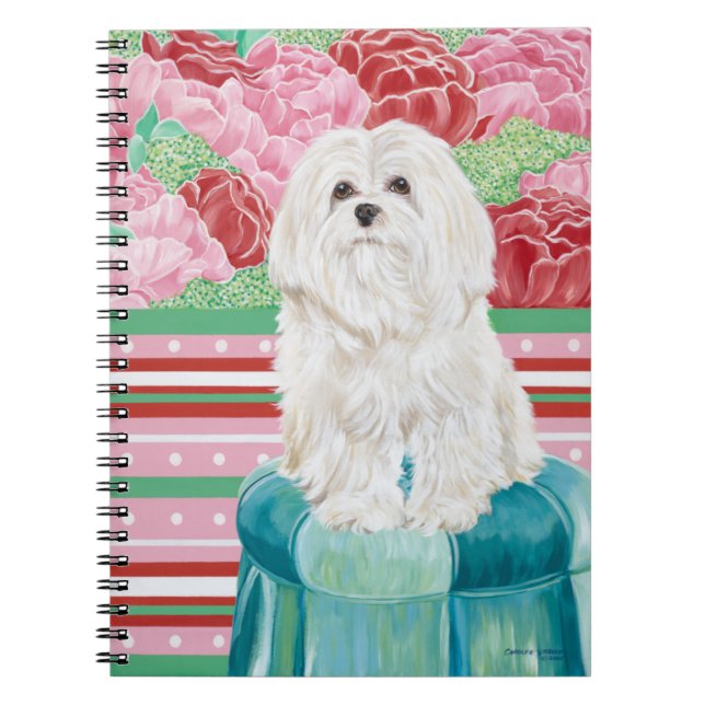 Cuaderno Della Rosa Maltese (Frente)