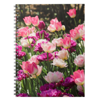 Cuaderno Deluz rosa y púrpura