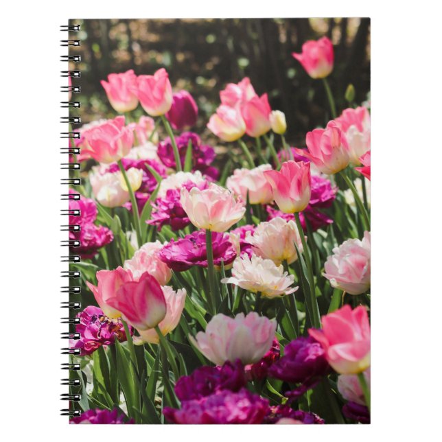Cuaderno Deluz rosa y púrpura (Frente)