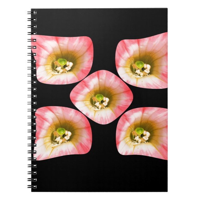 Cuaderno Deplante floral (Frente)