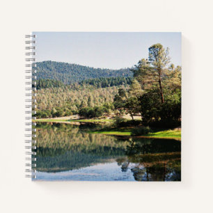 Cuaderno Depósito de alas......