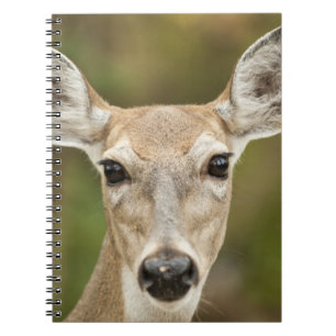 Cuaderno Depósito de cola blanca