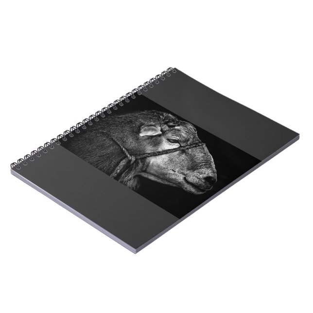 Cuaderno derecho siguiente (Lado Izquierdo)