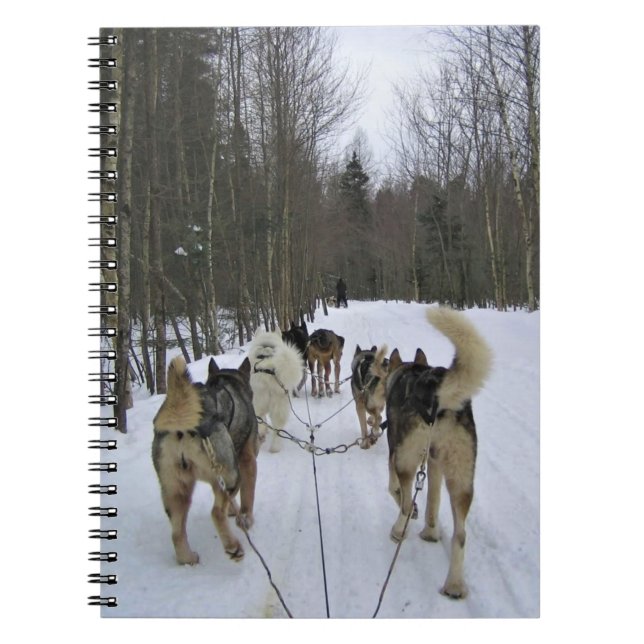 Cuaderno Derrame de perro en Quebec, Canadá (Frente)