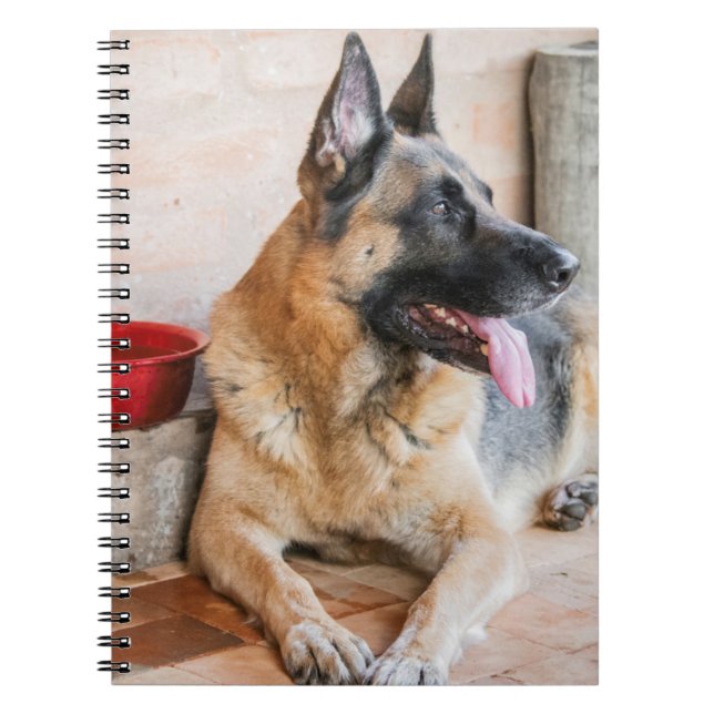 Cuaderno Descanso De Caballo Alemán Por Cuenca De Agua (Frente)