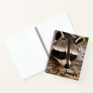 Cuaderno Descanso de mapache en un registro