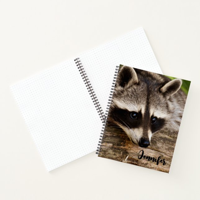 Cuaderno Descanso de mapache en un registro (Interior)