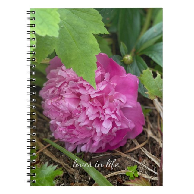 Cuaderno Descanso de Peony Rosa (Frente)