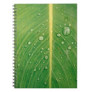 Cuaderno Descenso de la planta verde arbolada