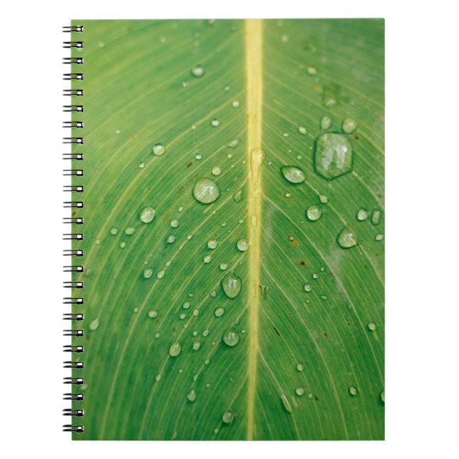 Cuaderno Descenso de la planta verde arbolada (Frente)