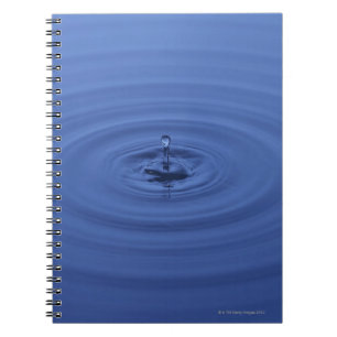 Cuaderno Descensos del agua