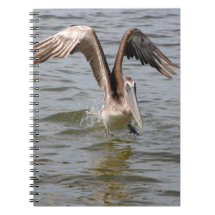 Cuaderno Desembarco pelícano en agua