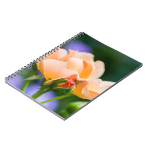 Cuaderno deseo de desarrollo