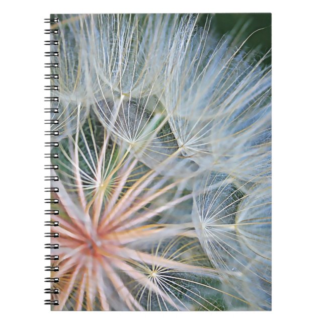 Cuaderno Deseos nuevos caídos (Frente)