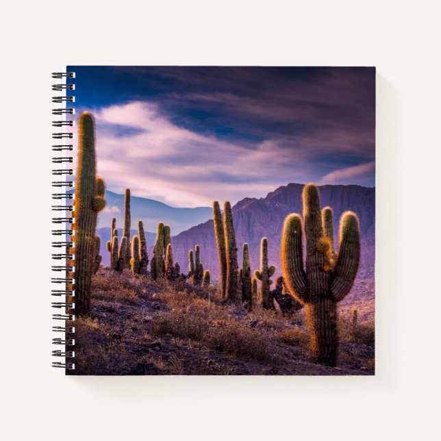 Cuaderno Deserts | Cactus Landscape Argentina (Anverso)