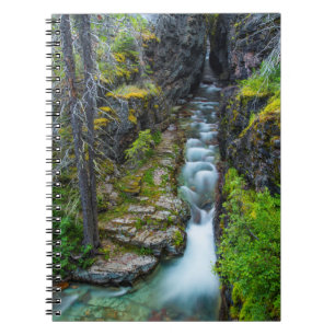 Cuaderno Desfiladero Sunrift en el Parque Nacional Glacier,