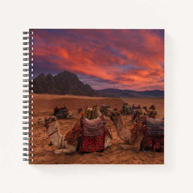 Cuaderno Desiertos | Camels Sinai Mountains Egipto (Anverso)