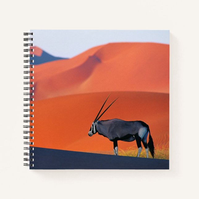 Cuaderno Desiertos | Namib Desert Oryx (Anverso)
