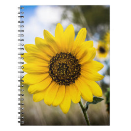 Cuaderno Deslumbramiento soleado