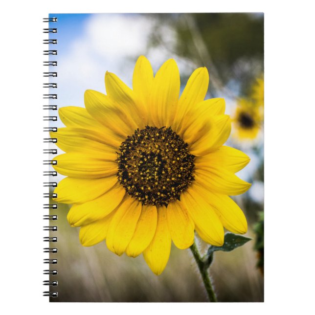 Cuaderno Deslumbramiento soleado (Frente)
