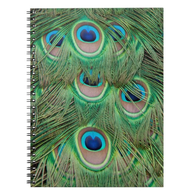 Cuaderno Desplome de pavo real (Frente)