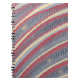 Cuaderno Después de la serpiente