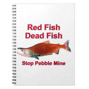 Cuaderno Después de Salmon - Alto a la mina de guijarros